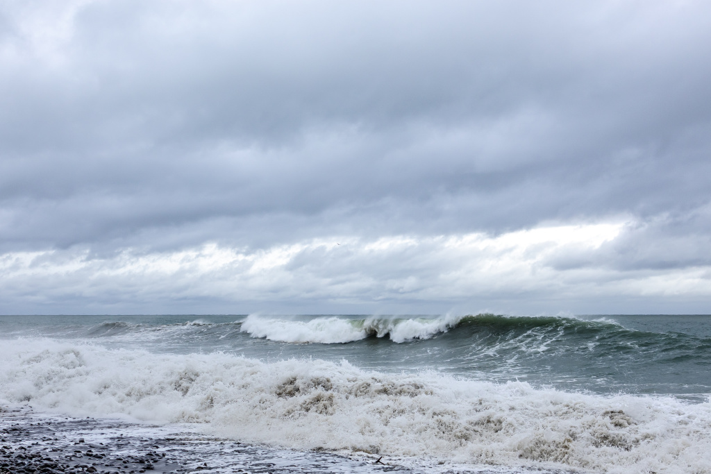 AU__0834.jpg AU__0834.jpg